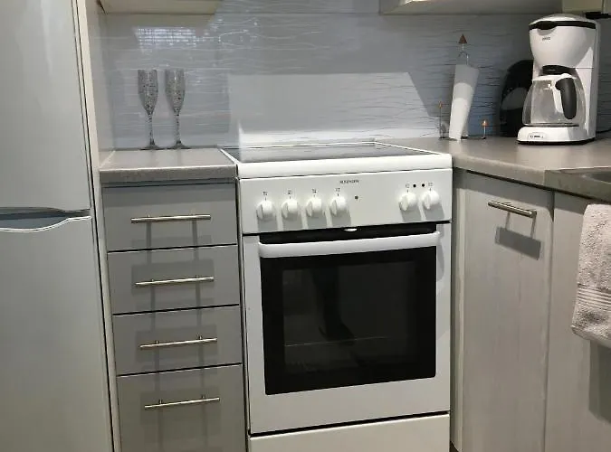 公寓 Majoitusmattila *